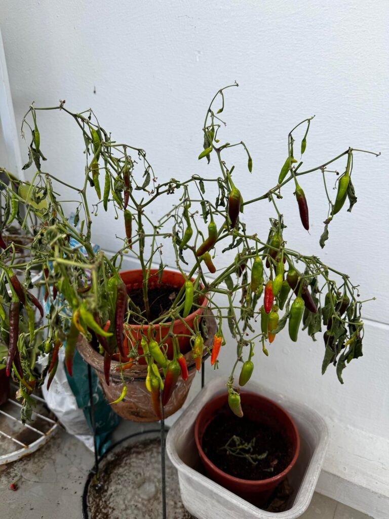 Help needed for Imu Help needed for Imu