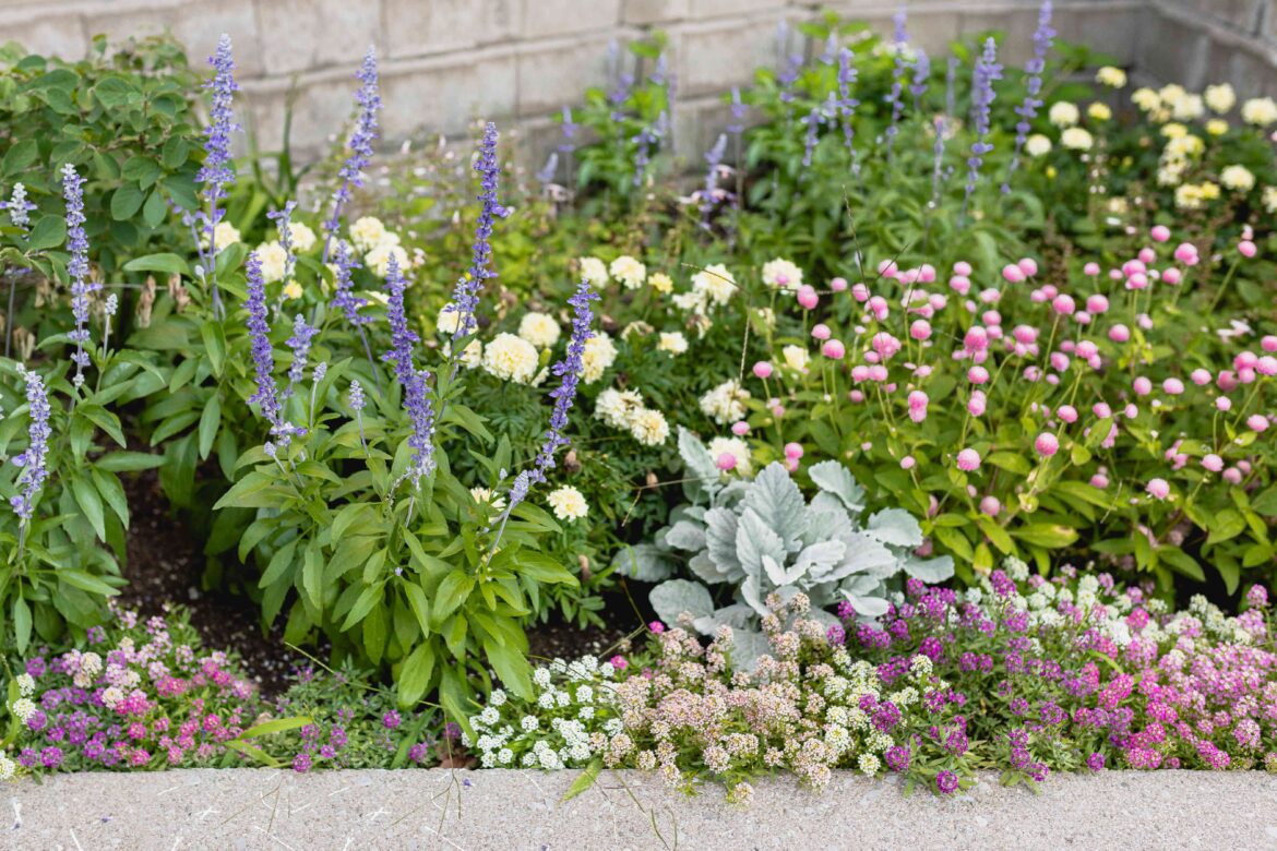 10 Best Garden Planners, Programs, and Apps