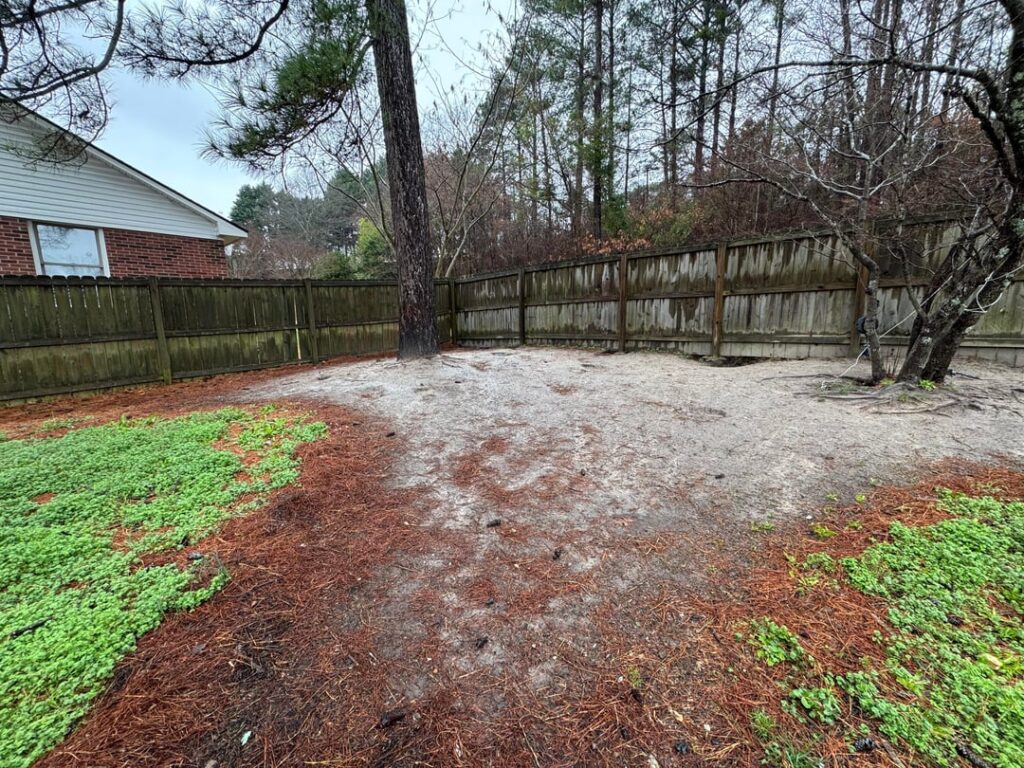 Will grass seed fix this? North Carolina