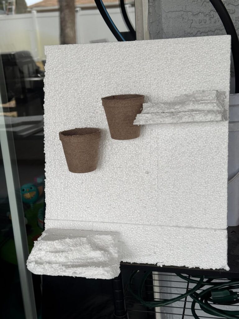 Not to shabby Not to shabby