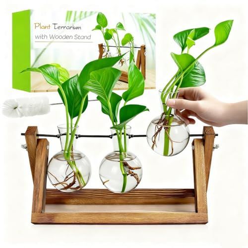 Renmxj Plant Propagation Stations With Wooden Stand &amp; 3 Glass Bulb Vases - Plant Terrarium for Indoor Plants, Home Office Desk Decor, Gardening Gifts for Women Mom, Birthday Gifts for Plants Lovers