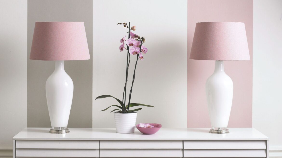 5 pink houseplants experts swear by to brighten your home