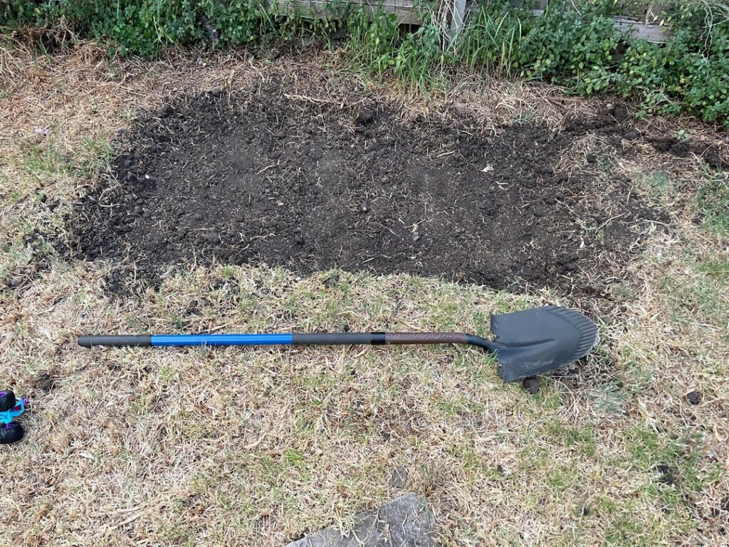 Been digging up clay for an in-ground bed. Almost done now.