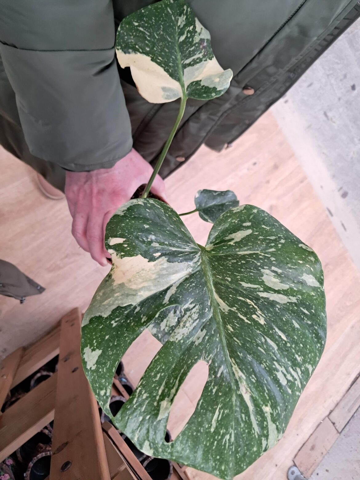 What is this and what's it worth ?