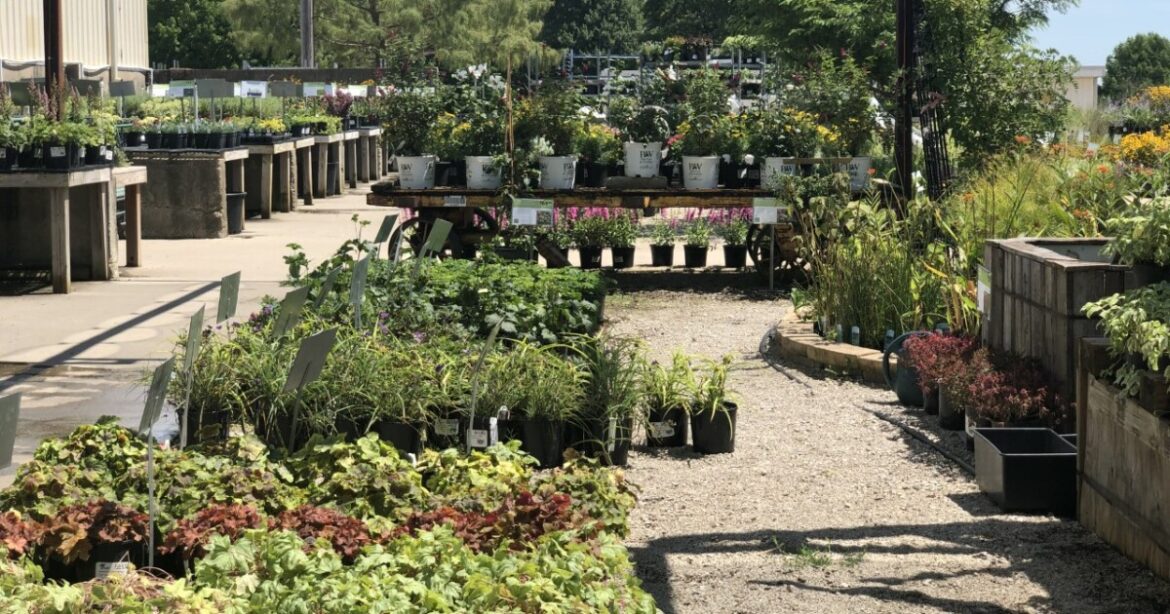 Powell Gardens acquires Colonial Gardens in Blue Springs
