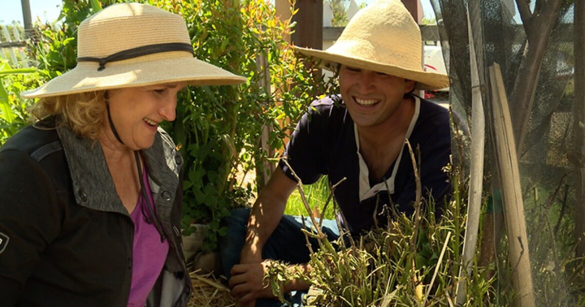 A GROWING PASSION: Gardening As A Community A GROWING PASSION: Gardening As A Community