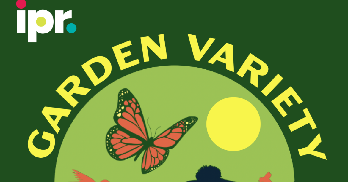 Fine pruning your fruit trees