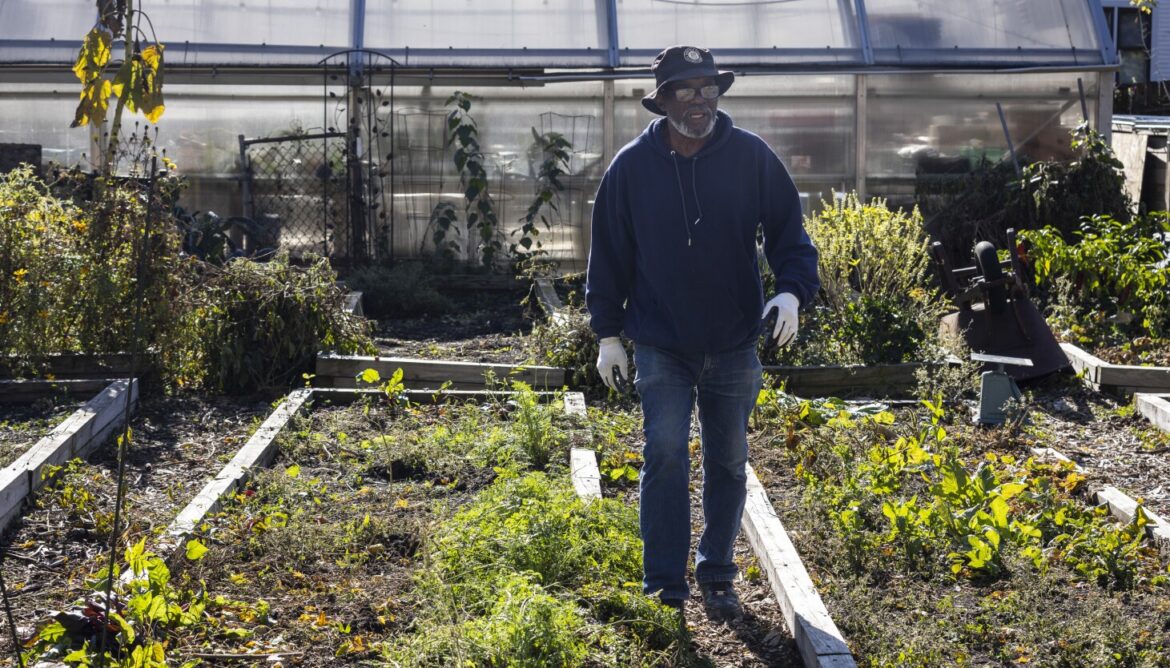 Growing healthy food to narrow Chicago’s 20-year life expectancy gap: ‘If we eat better, we do better’ Growing healthy food to narrow Chicago's 20-year life expectancy gap: ‘If we eat better, we do better’