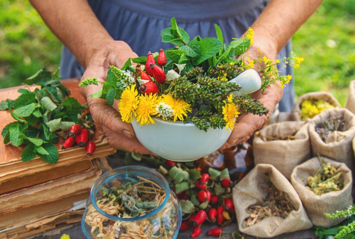 Want a healing garden? Here's how to plan it and what to plant - Alexandria Echo Press