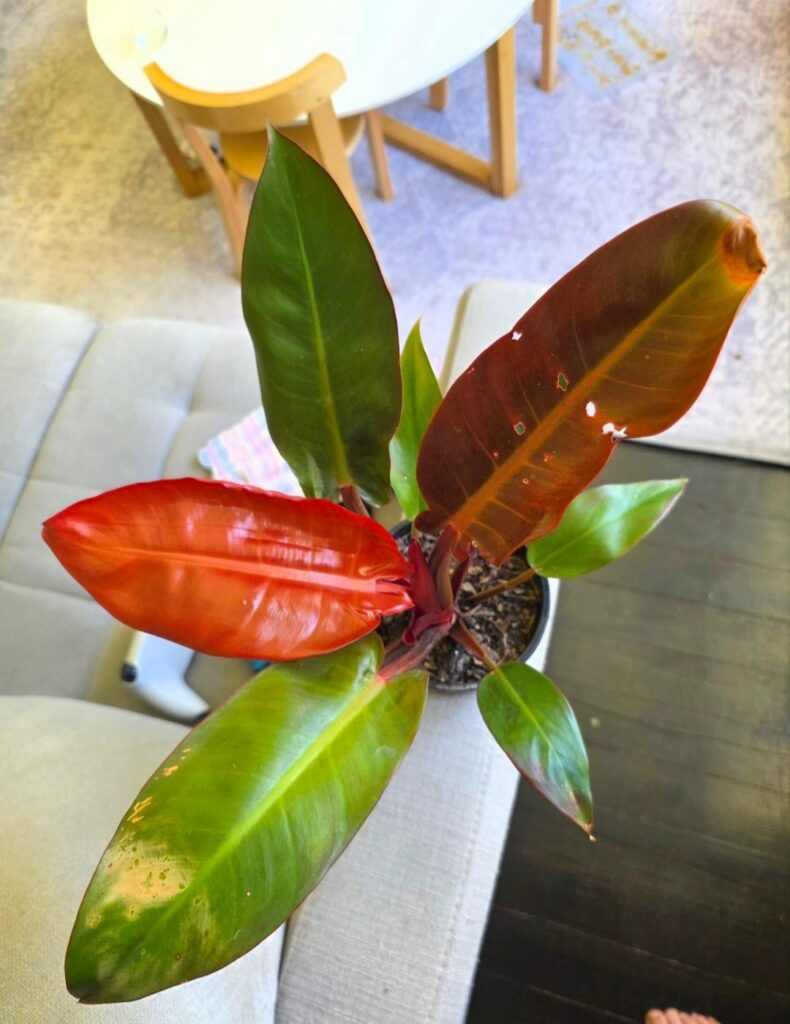 shocked and appalled