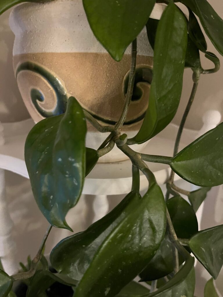 Is this propable? Is this propable?