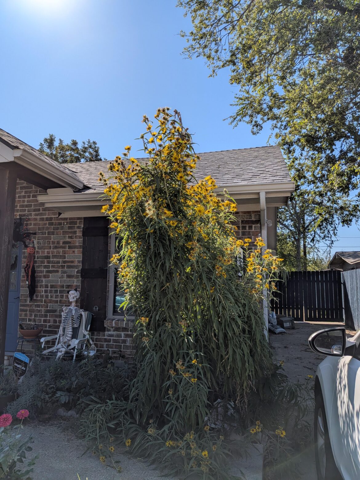 Full shade suggestions