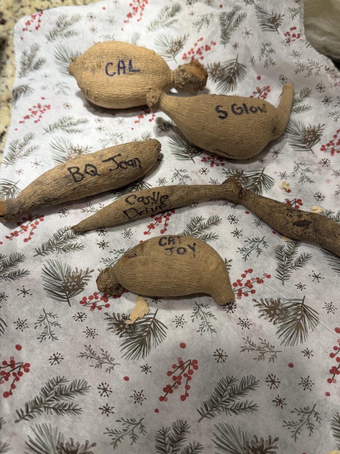 First time growing tubers!