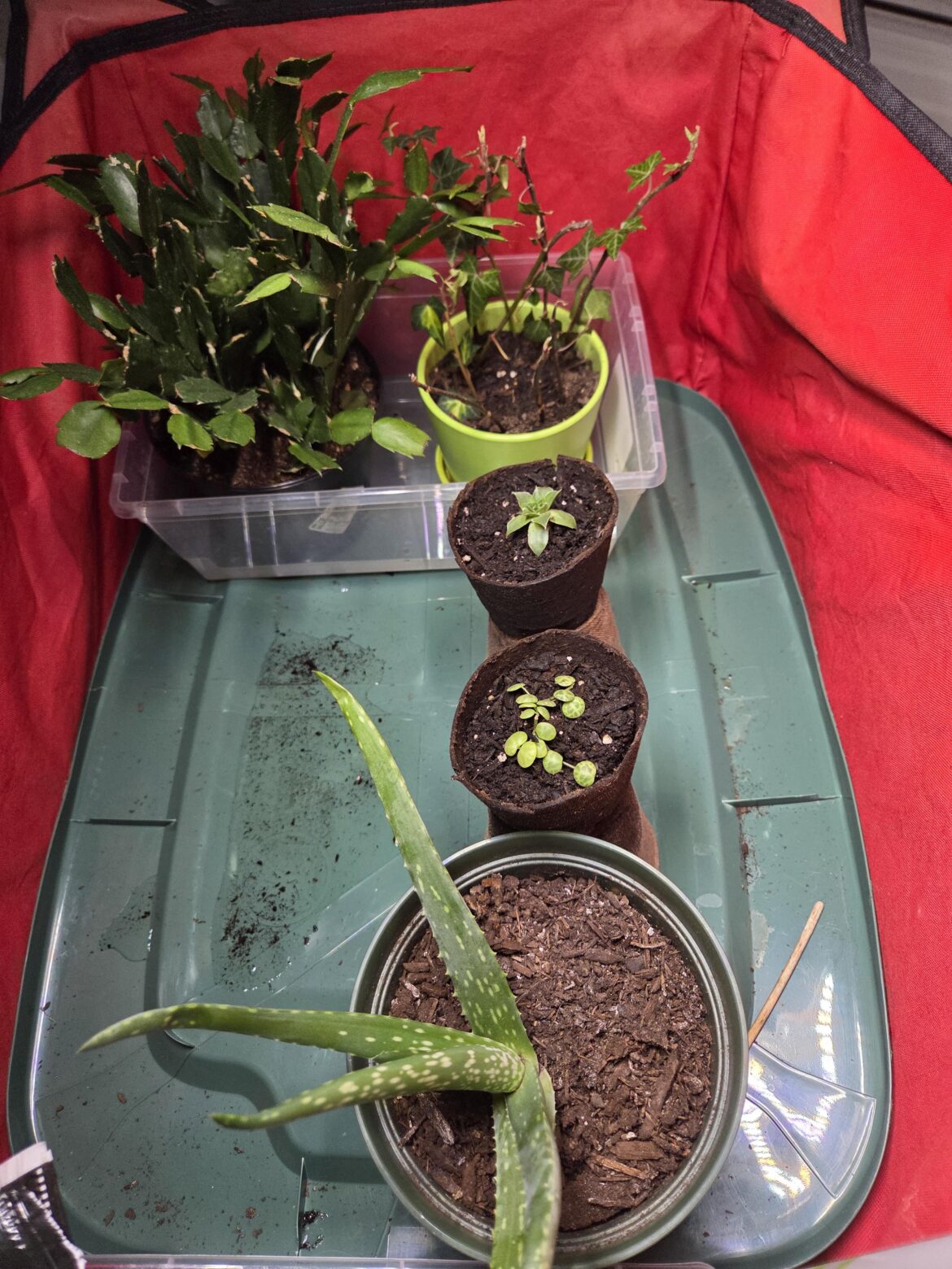 Canadian winter set up critique pls