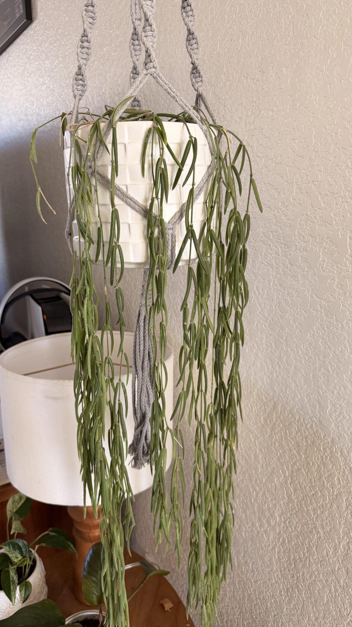 Help with my linearis Help with my linearis