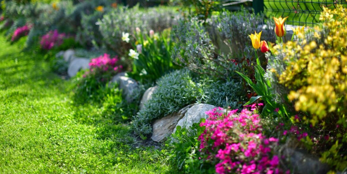 Top 7 Gardening Trends of 2026, According to Experts Close