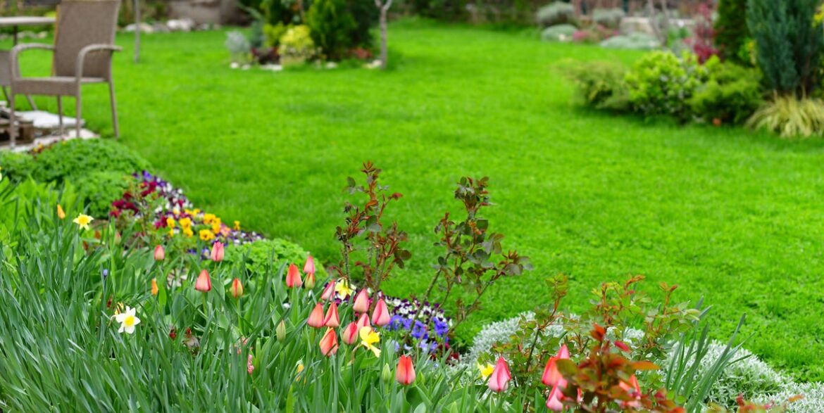 The Best Time to Plant Grass Seed for a Lush, Green Lawn The Best Time to Plant Grass Seed for a Lush, Green Lawn