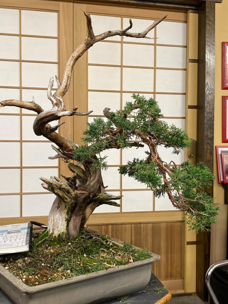 Pretty happy with this little dude.