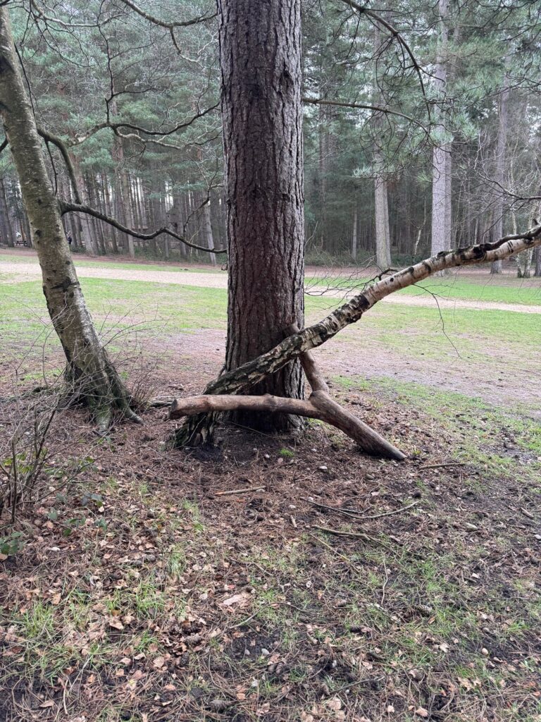 Can anyone explain this?