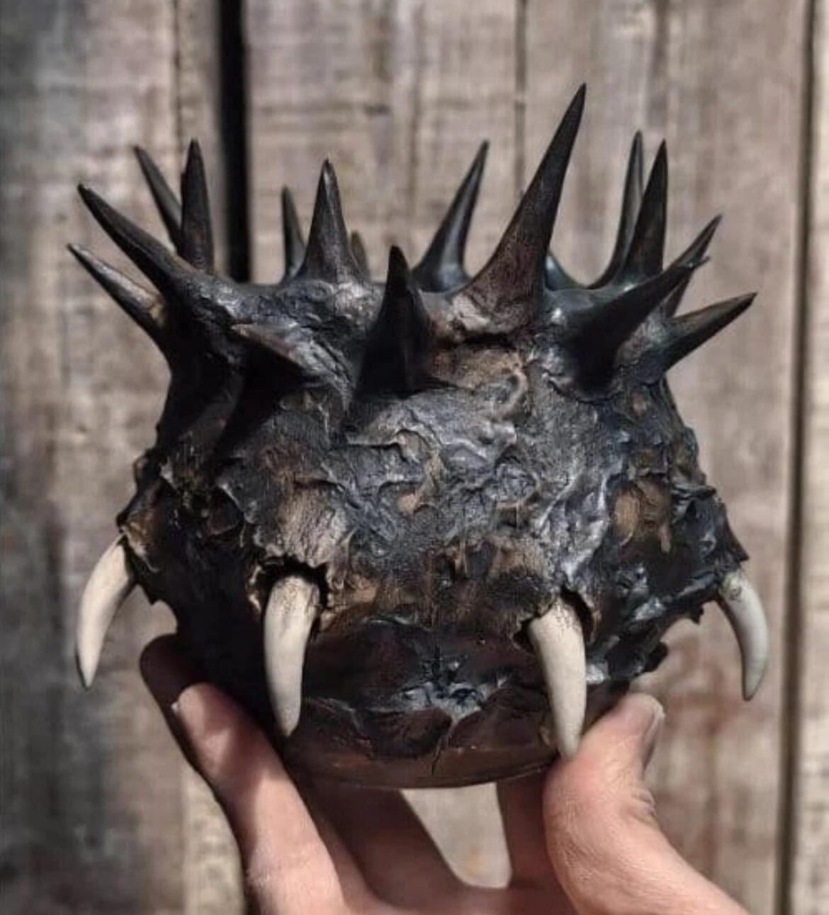 Just got this pot Ive been lusting after, what should I put in it?