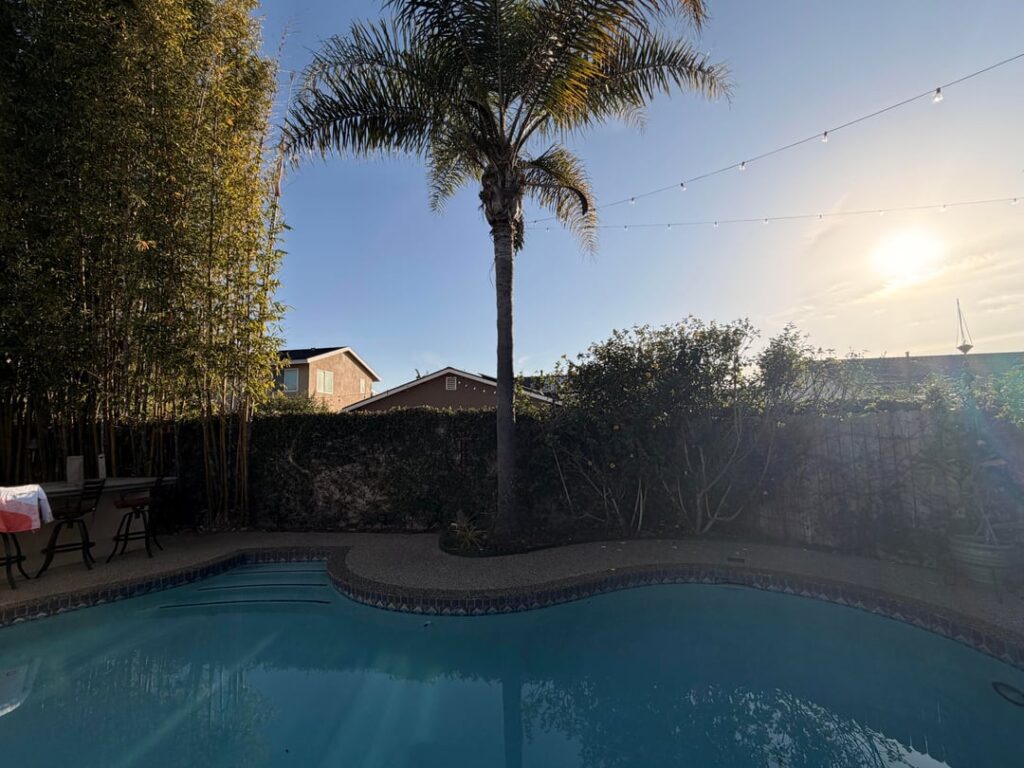 Need help selecting a plant…