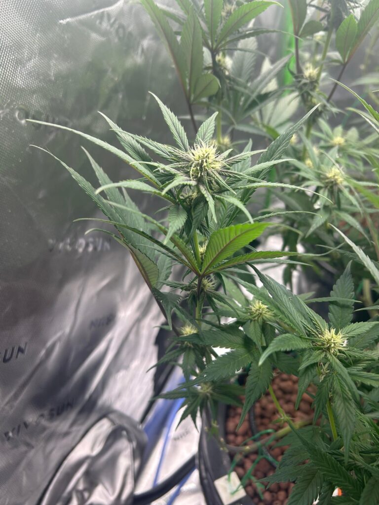 Has anyone seen this before? Has anyone seen this before?