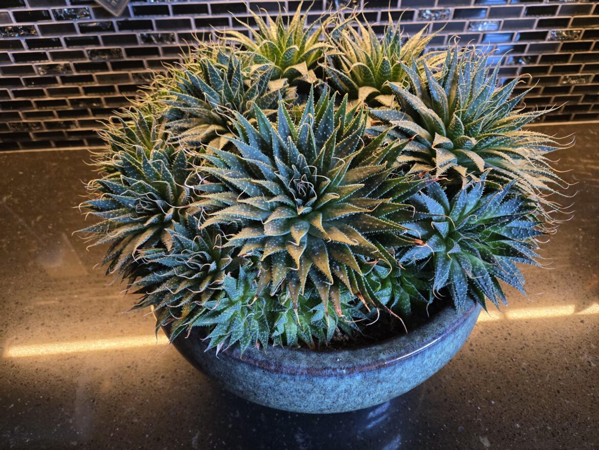 What do I do with this?