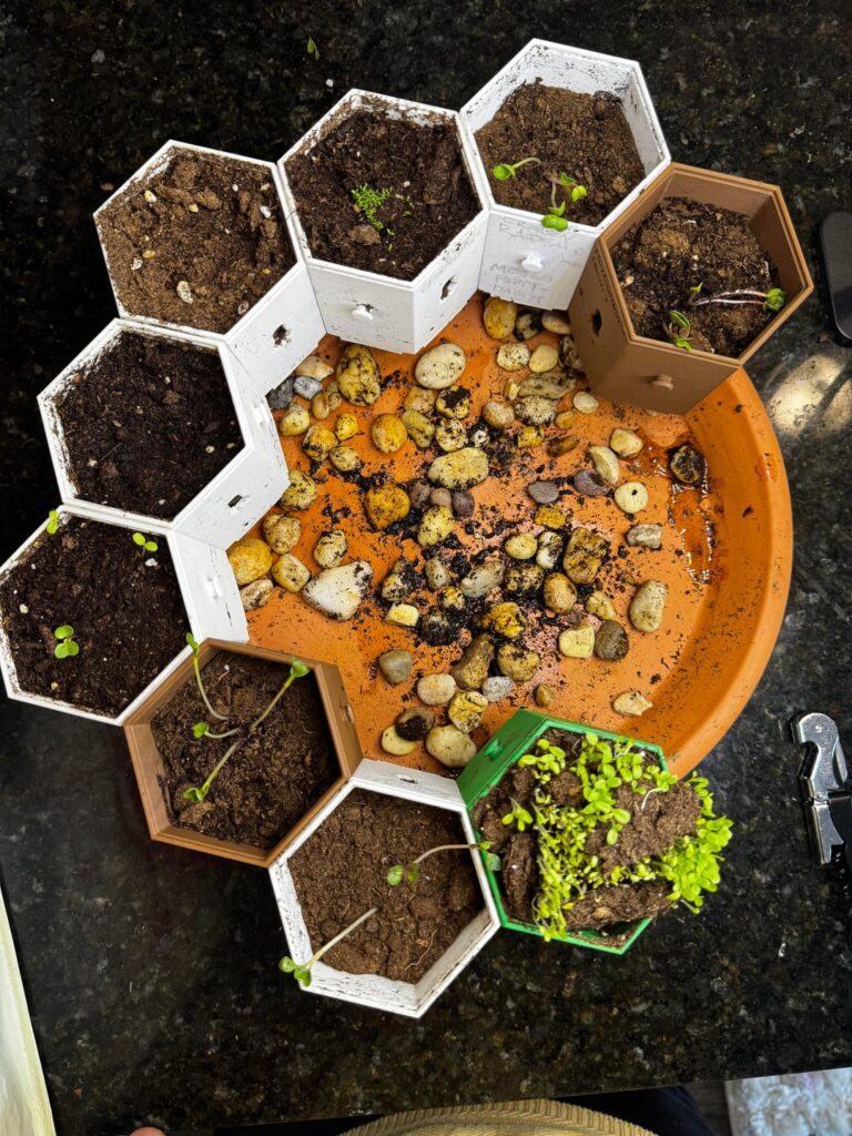 Starting an indoor garden - any help appreciated :)