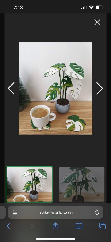 Monstera Variegata Coasters!!