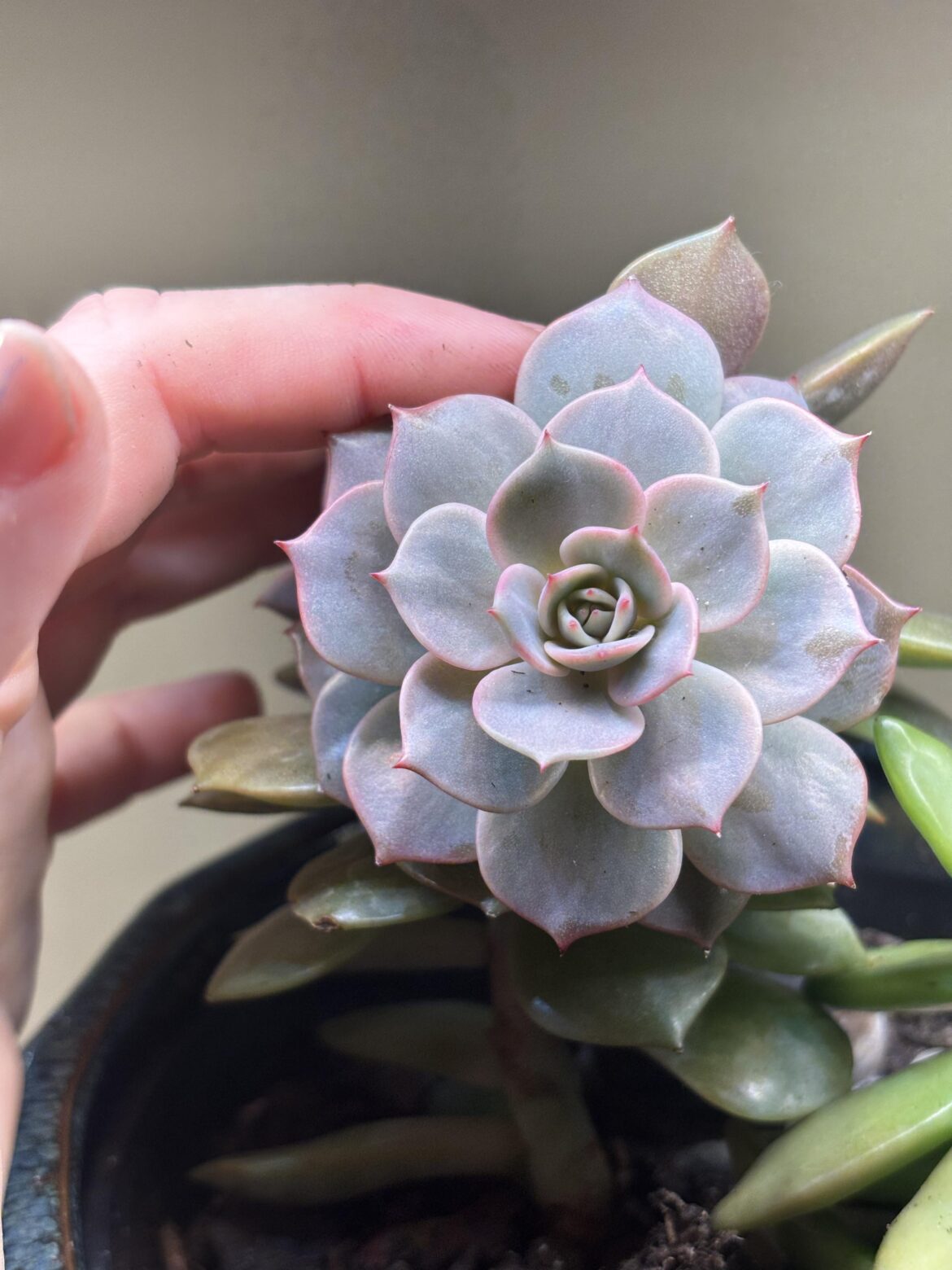 I love her. It’s like something you would see in a dream