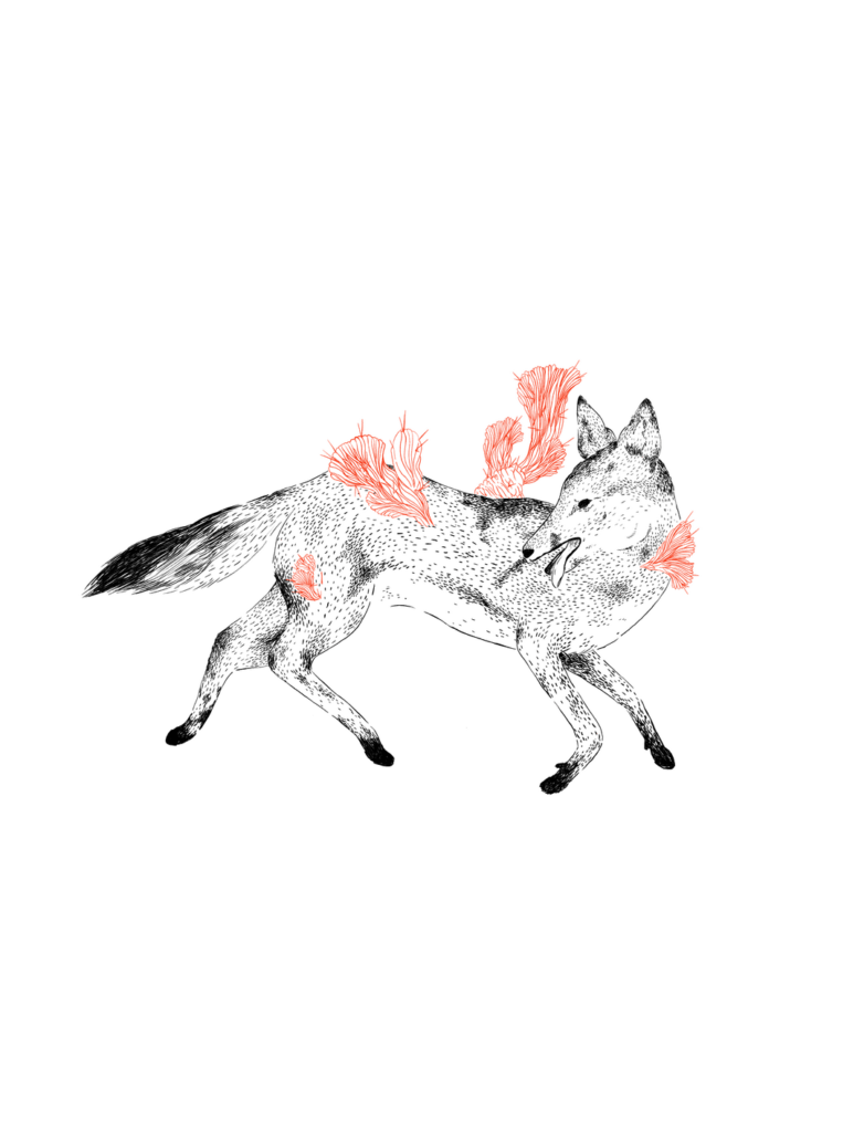 My art sometimes involves cacti. Heres a few favs