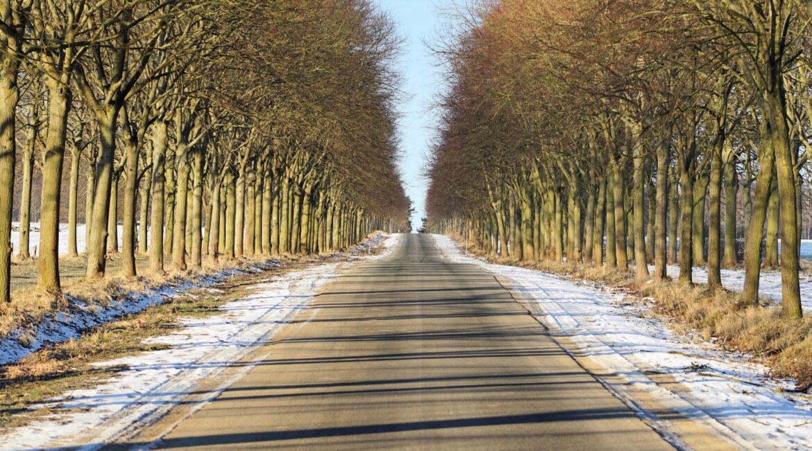 Dakota Gardener: Don’t let Mother Nature fool you Mother Nature