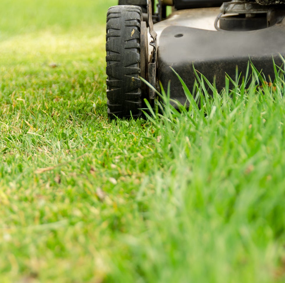 the wheels of a used lawn mower on old lawn grass with its first spring mowing close up