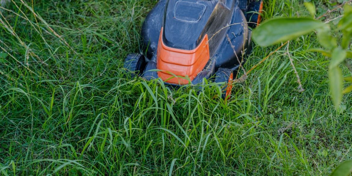 The Exact Date To Mow Your Lawn In 2026 — And The Temperature Rule To Follow