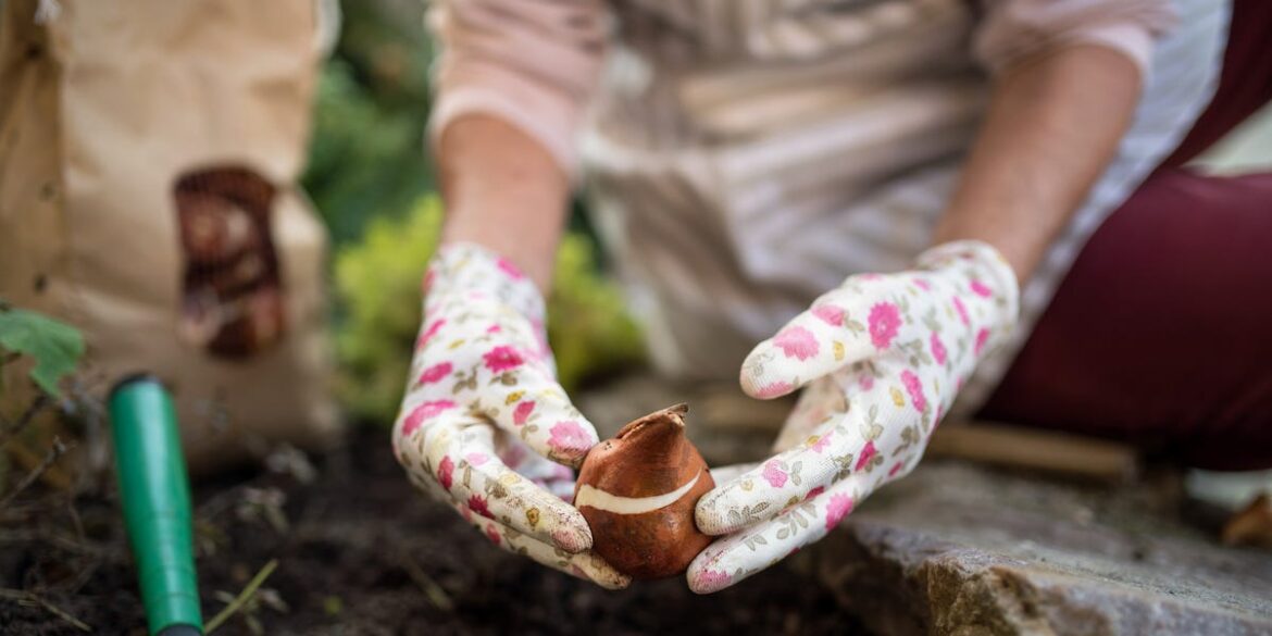 How and When to Plant Bulbs for Better Blooms