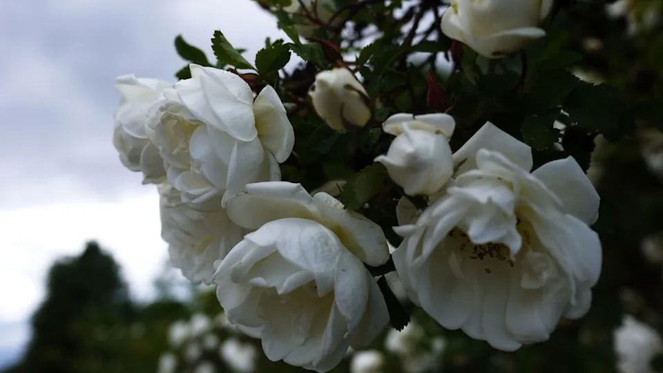 Image Credit: Deposit Photos