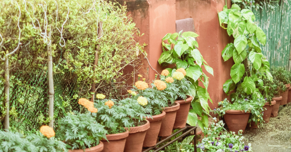 Steps to Create Simple Winter Garden Decorations with Children