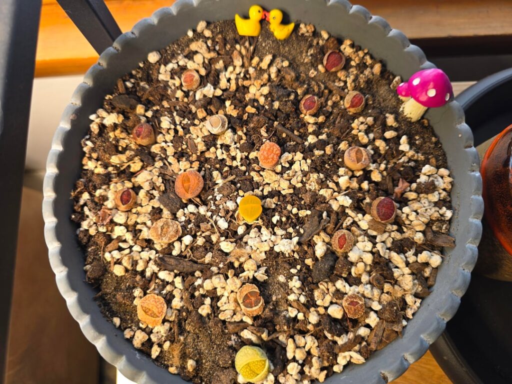 Couple Questions About Light, Splitting, and Water