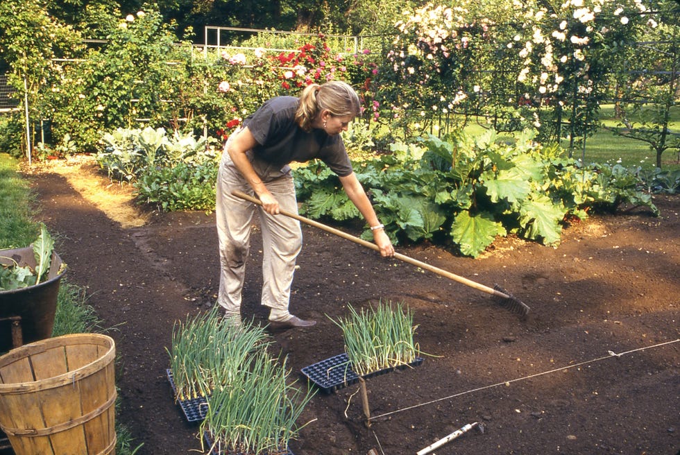 martha stewart gardening