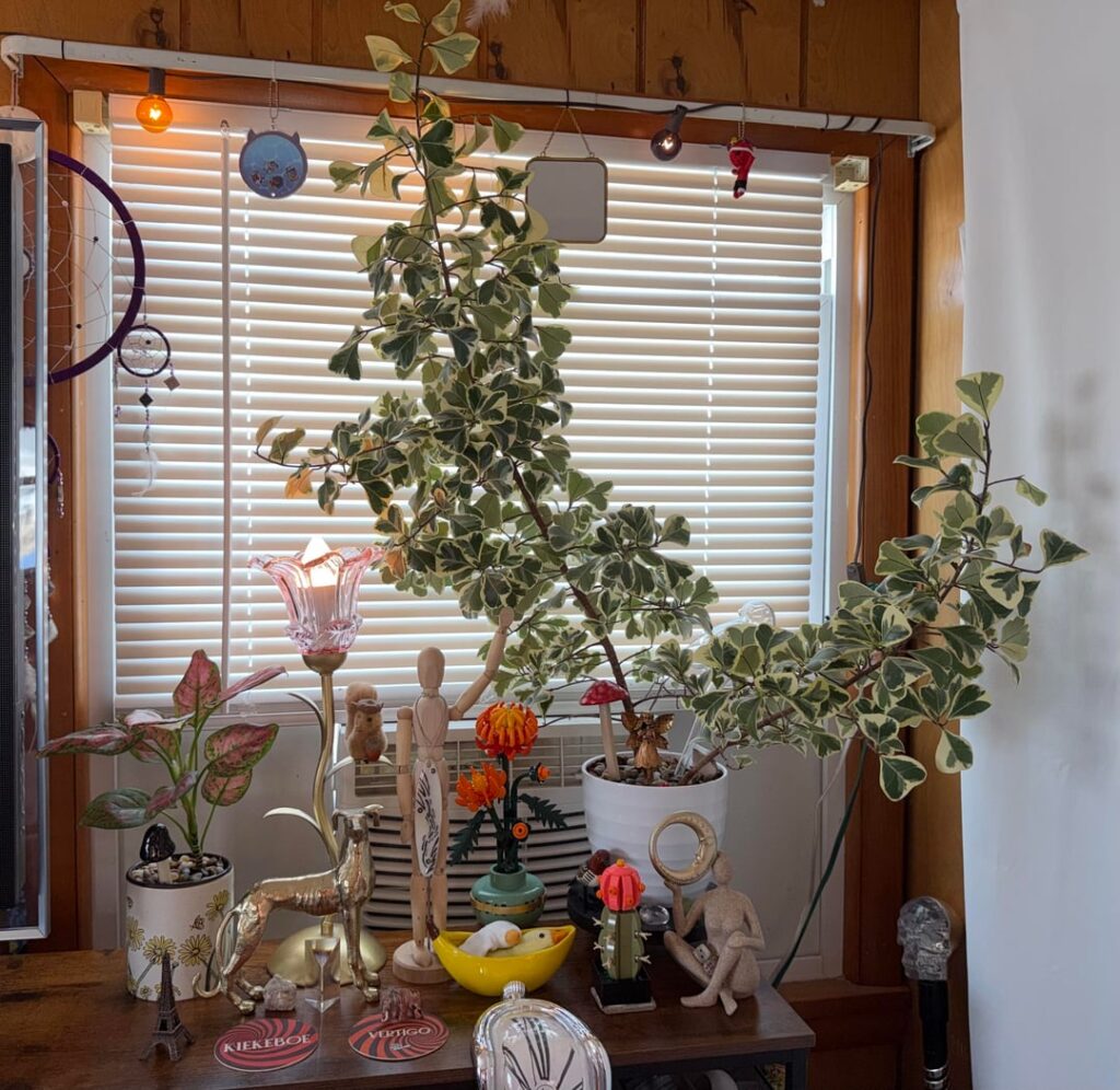 Rate my Collection π± Rate my Collection π±