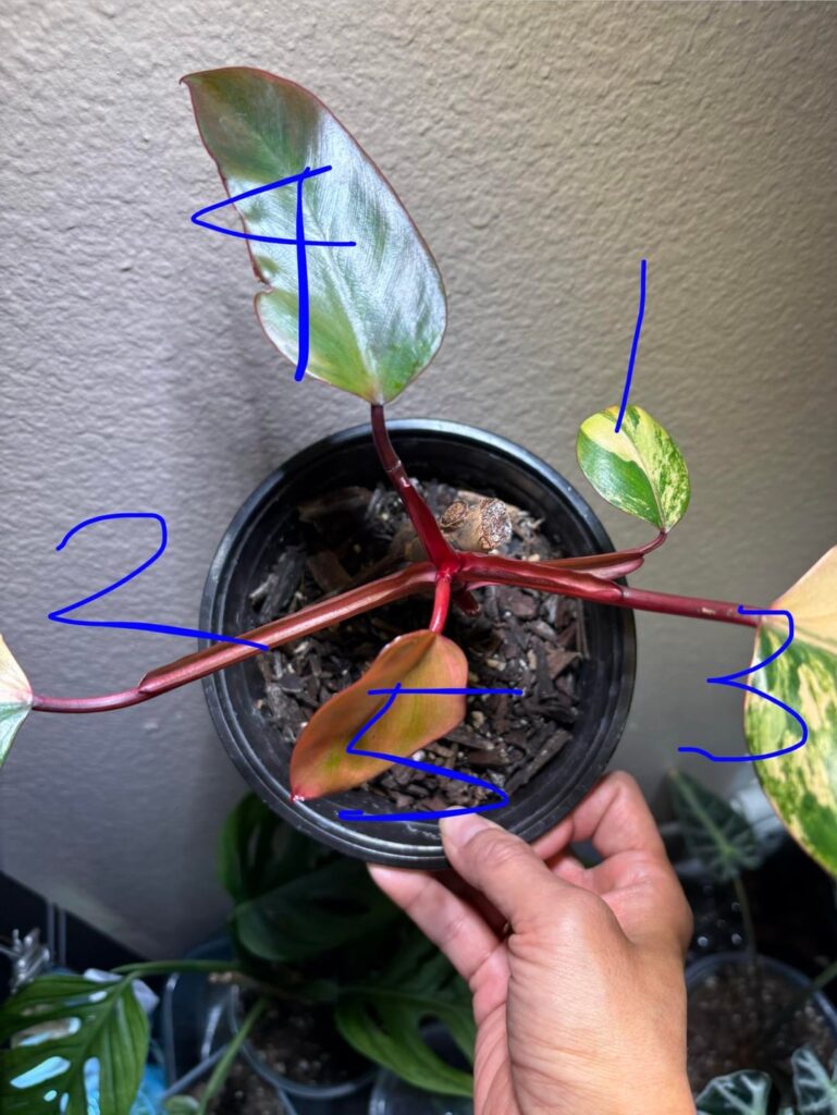 Help: What’s wrong with her? Help: What’s wrong with her?