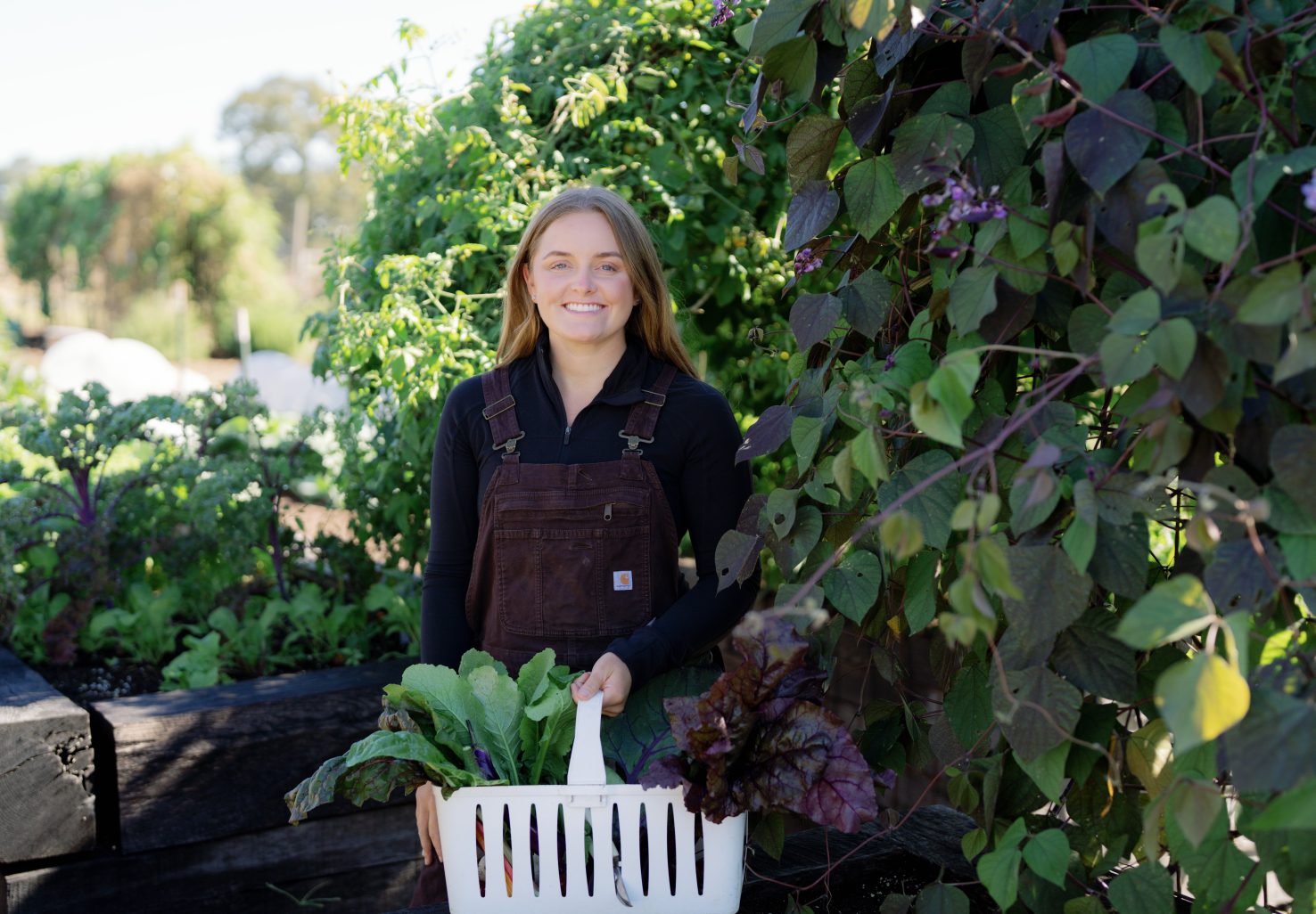 Amanda Webb, Head Gardener at Windy Hill Farm