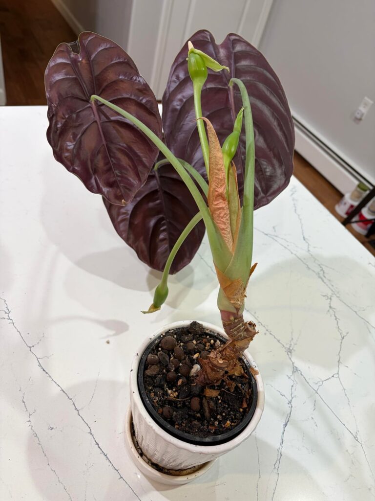 Was this the right thing to do?