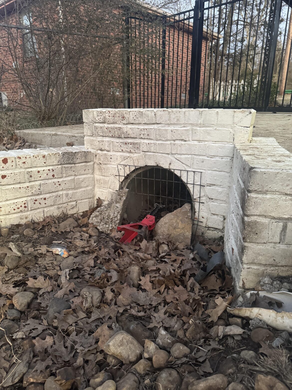 Preventing my dogs from drain access