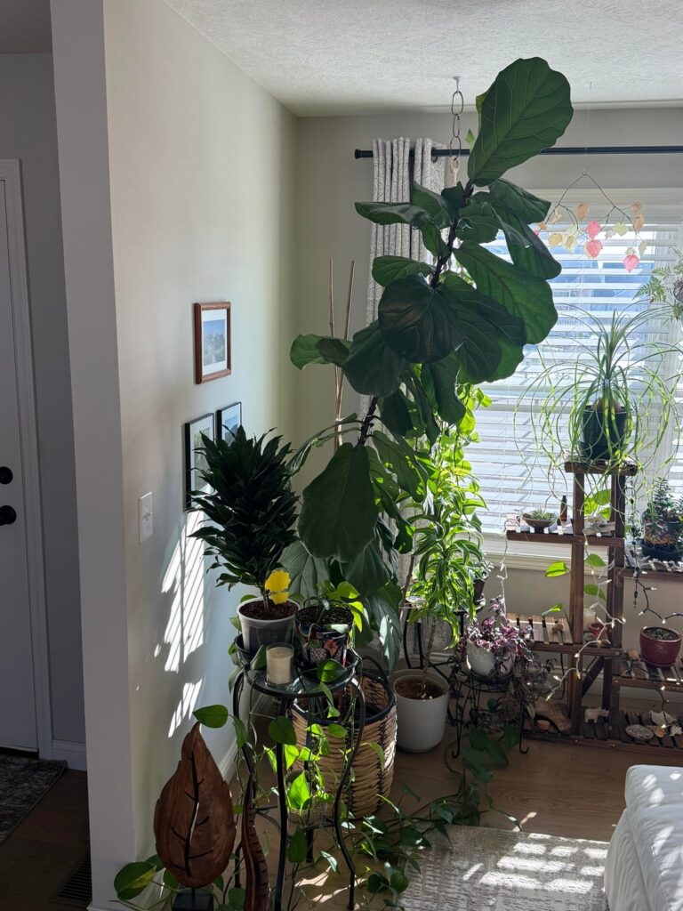 Would you prune now?