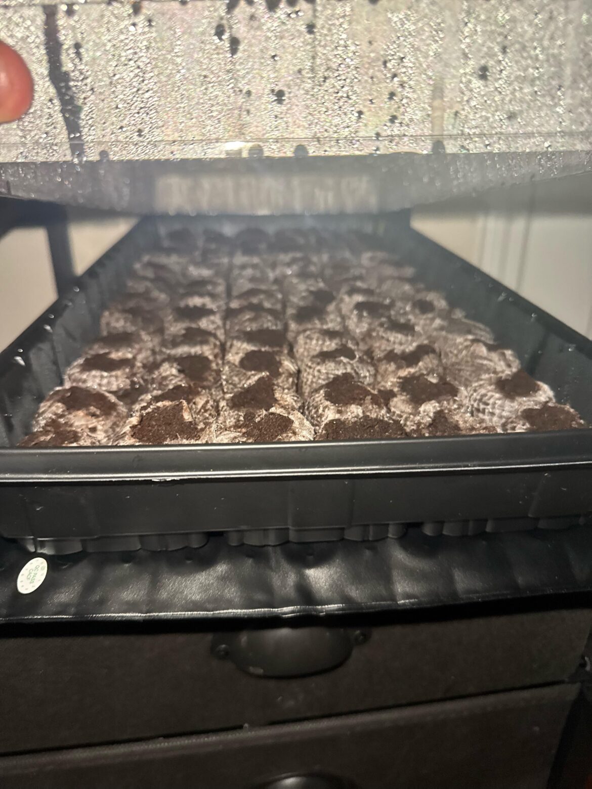 do these need water?