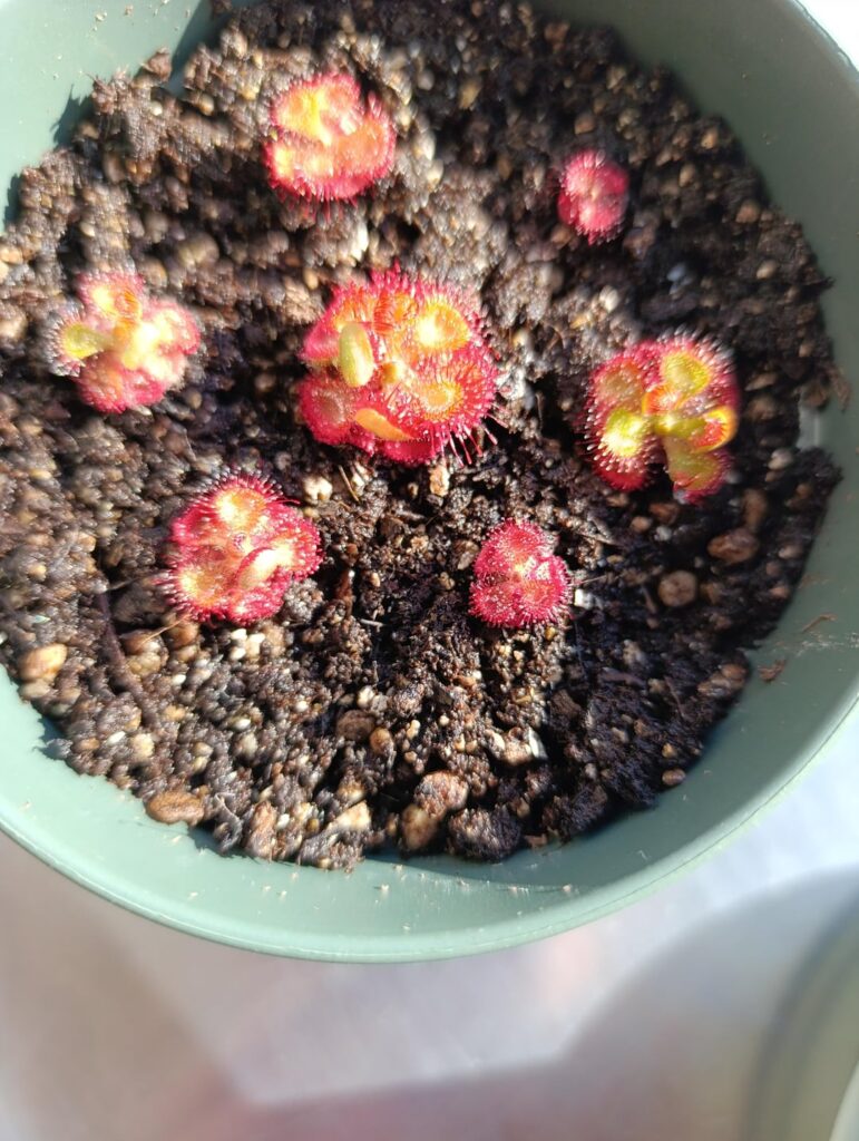 Images of the day, under beautiful spring sunshine