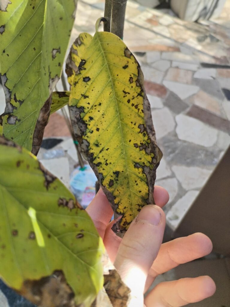 Should I keep or not? Should I keep or not?