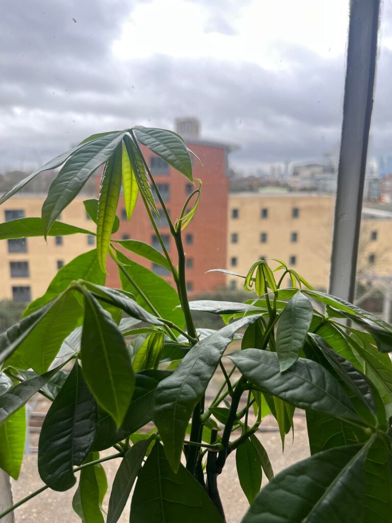 Sharing my small wins