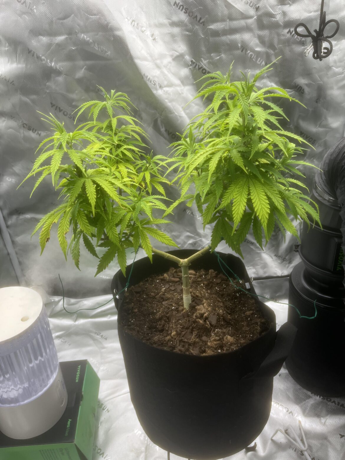 How hard will this be to transplant into an Octopot?